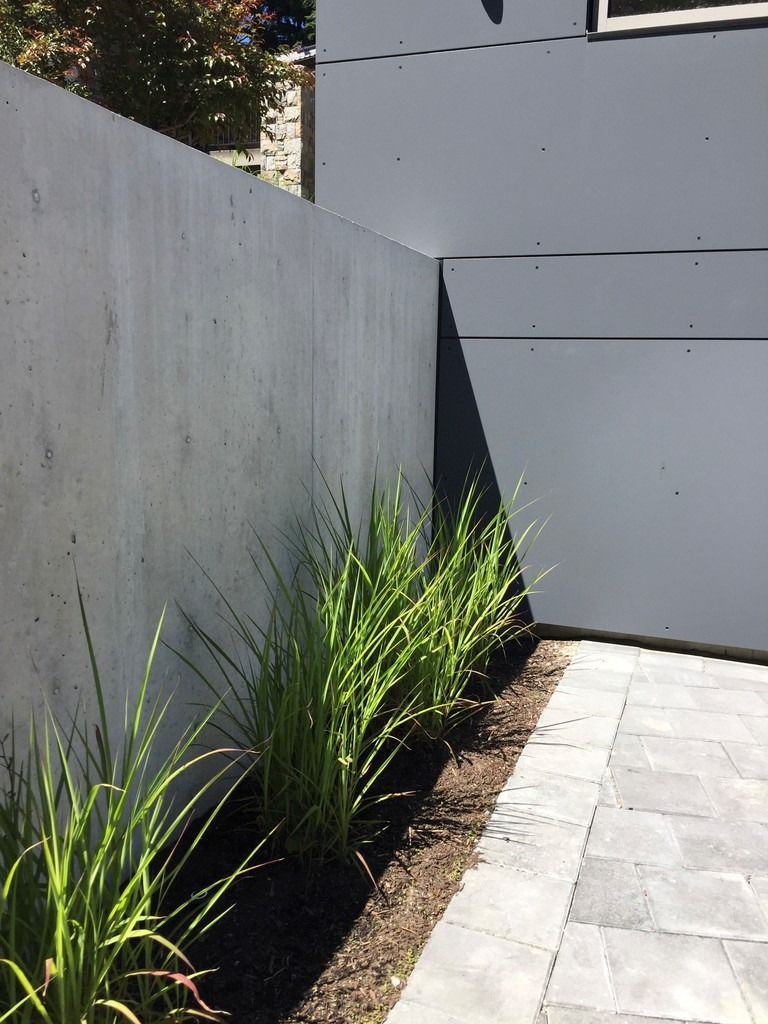 Tall green grass grows along the base of a concrete wall next to a modern gray building with paneling, beside a paved walkway.